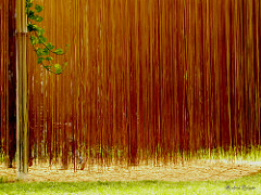 Jugando entre Fideos / Playing into noodles