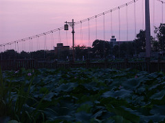 PICT0466