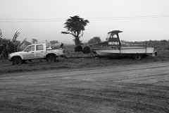 Ute & Dolphin Owenga Chatham Islands