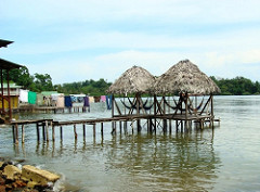 Hamacas