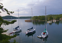110728_7874A