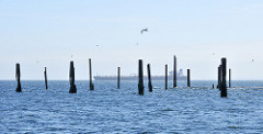 Port Angeles cargo ship
