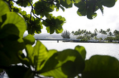 Coconut Island