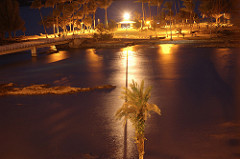 Coconut Island