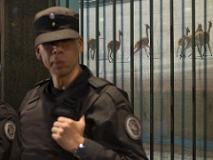 Policía y llamas