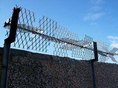 Security wire