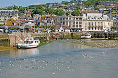 France-000641 - Port of Trouville-sur-Mer