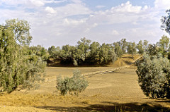 22. Fitzroy Crossing