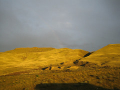 Typical southern Washington landscape
