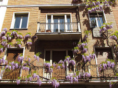 Forlì - 9 aprile 2011