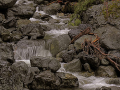 Hall Creek