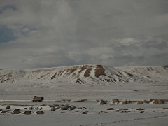 P2021497