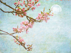 The Arrival of Spring series