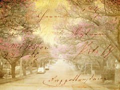 The Arrival of Spring series