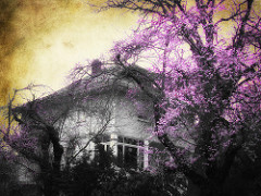 The Arrival of Spring series