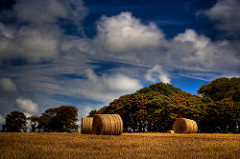 Hay Bale HDR