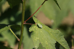 2012.08.12_12.45.35_IMG_9250