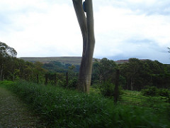 Araxá