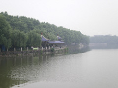 IMGP3192