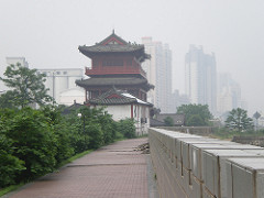 IMGP3164