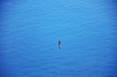 Con Dao Eagle