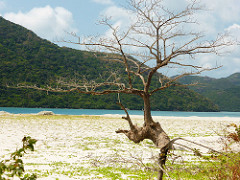 Southcoast of Con Dao (Con Dao, Vietnam 2016)