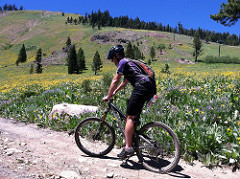 Sun Valley 015