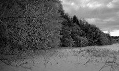 The cold bay