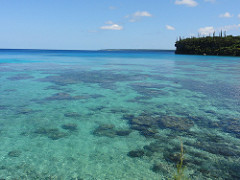 Lifou