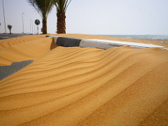 Dunes