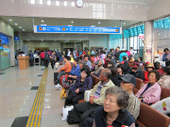 Bustling Crowd at Pohang Port