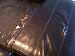 The two rips in my couch.  (Anyone want to buy it?)