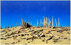 Around China:  Xinjiang, Korla, stone forest
