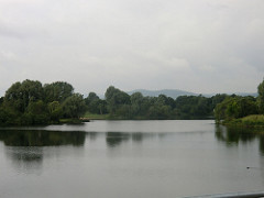 Kassel Buga
