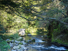 Riwaka River Below the Resurgence