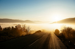 Lost in the fog
