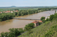 Flooded Labe river, June 5th 2013, Mělník
