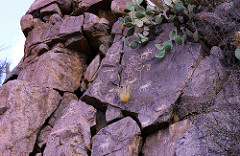 My Public Lands Roadtrip: Agua Fria National Monument in Arizona