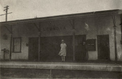 "A. at Leonora", Western Australia, 19 September 1929