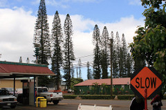 Slow Life in Lanai City