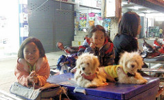 Loei childen with dogs