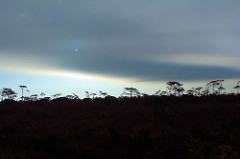 white sun at Phu Kradung