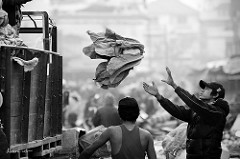 img_0007
