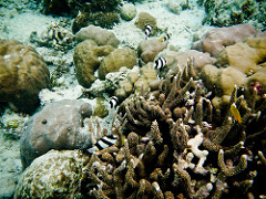 DSCN1377.jpg