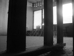 DSC03369