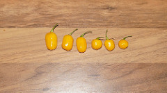 Maraba