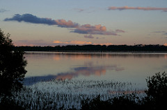 Lake Merimbula evening boardwalk