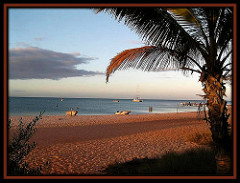Monkey Mia Australia