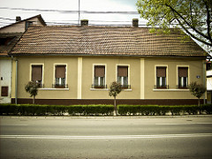 SANY3604-1