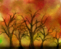 Orange_Trees_01